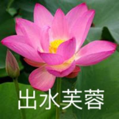 火影忍者巅峰对决腾讯版下载
